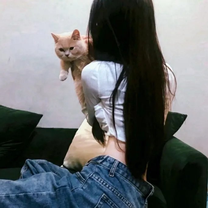 寒流黑金