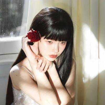 追星星的人第三季