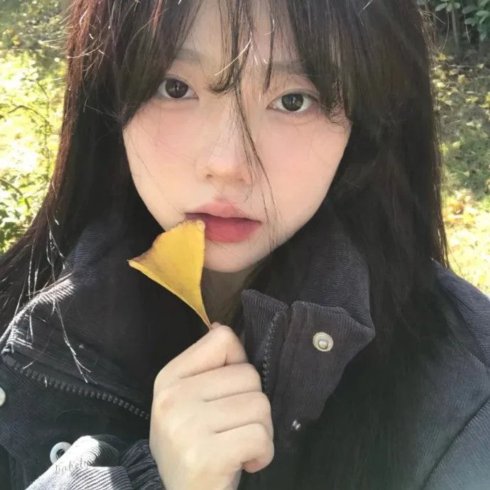 追凶记